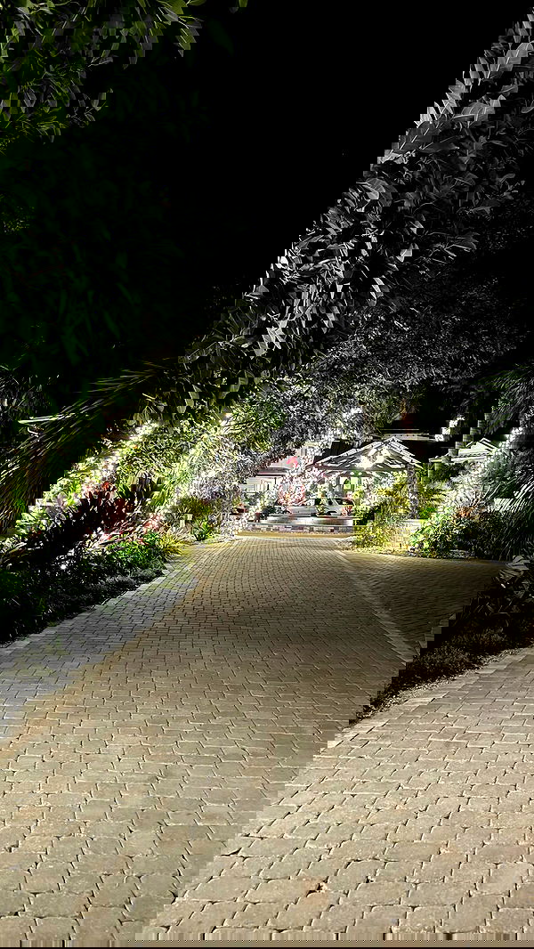 sydney_sweeney image ~ Altpins