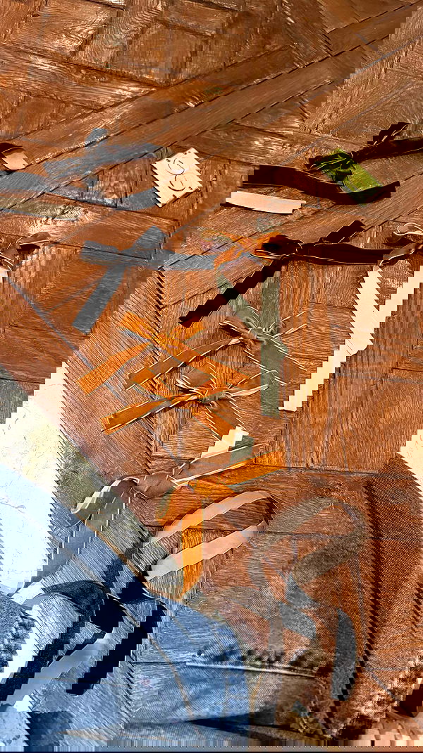 sydney_sweeney image ~ Altpins