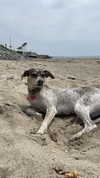 tayloreubanx Altpins Profile Picture