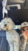 tayloreubanx Altpins Profile Picture