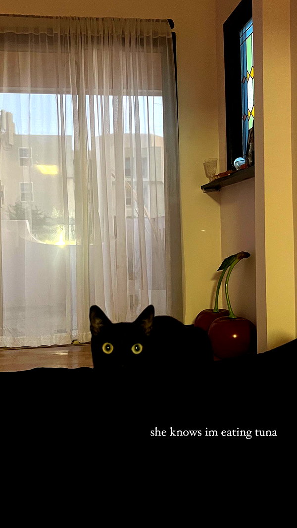 te4sed instagram image archive image