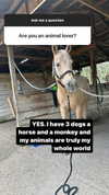 thekierstengrace Altpins Profile Picture