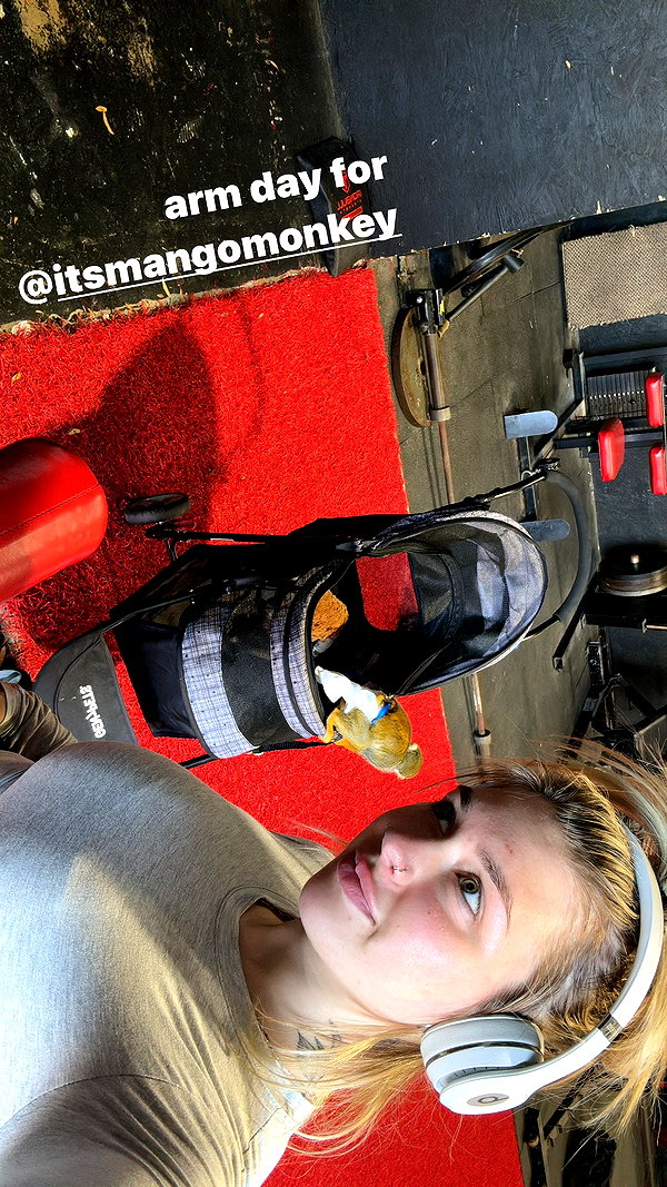 thekierstengrace instagram image archive image