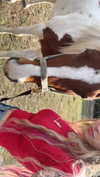 thekierstengrace Altpins Profile Picture