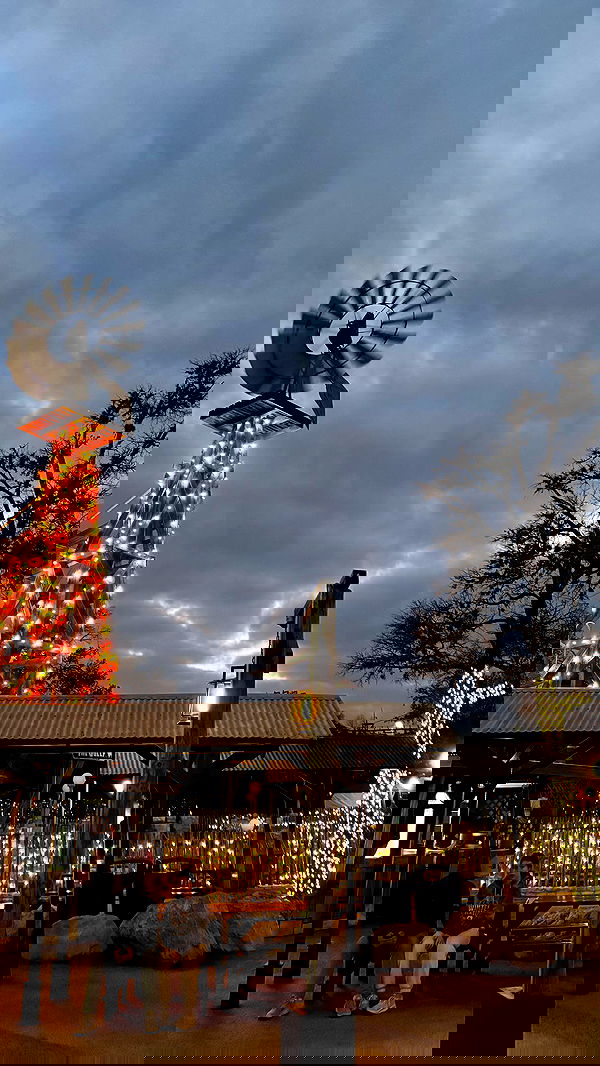 thelizzyporter thelizzyporter archive image