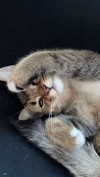 theresemarlen Altpins Profile Picture
