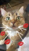 theresemarlen Altpins Profile Picture