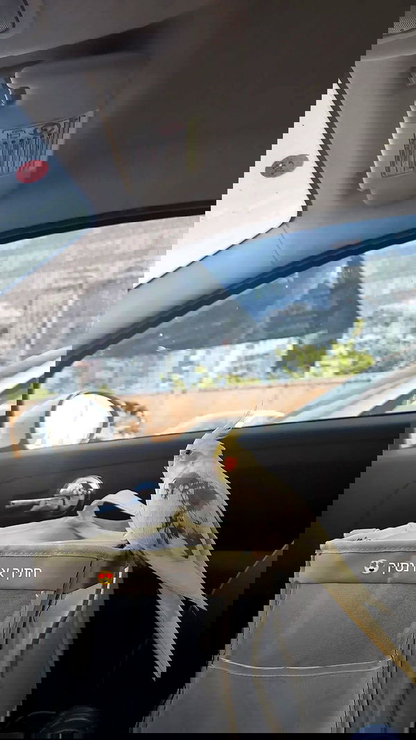 tinapavlov.sky tinapavlov.sky archive image