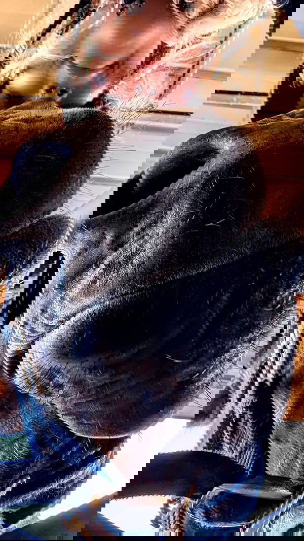 tinapavlov.sky tinapavlov.sky archive image