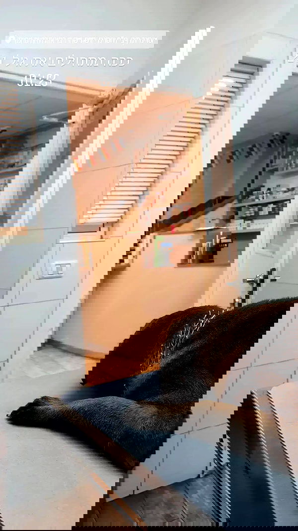 tinapavlov.sky tinapavlov.sky archive image