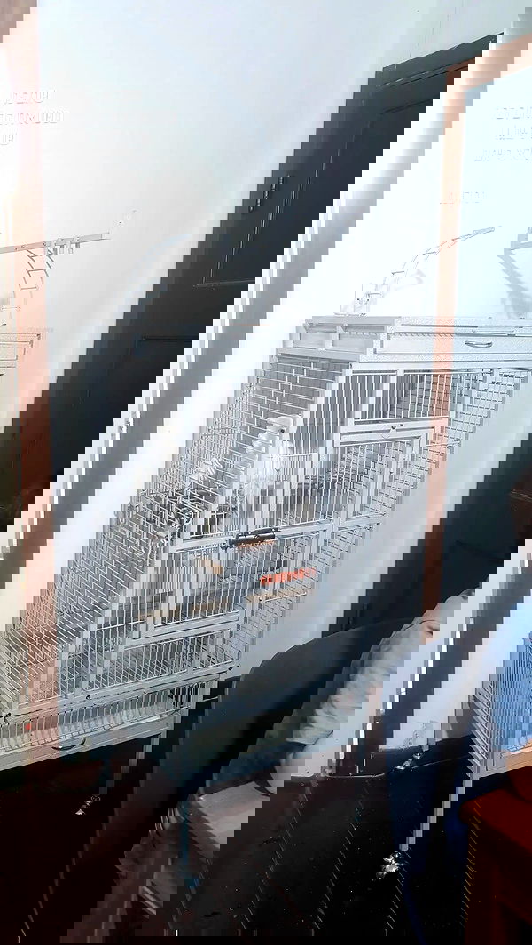 tinapavlov.sky tinapavlov.sky archive image