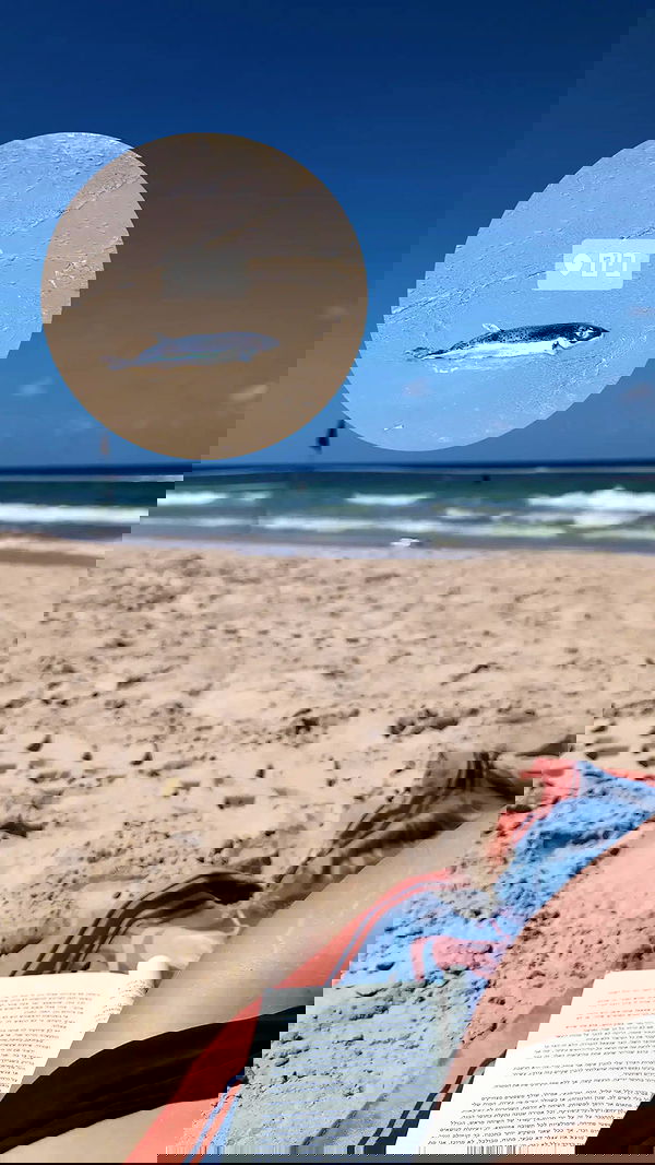 tinapavlov.sky tinapavlov.sky archive image