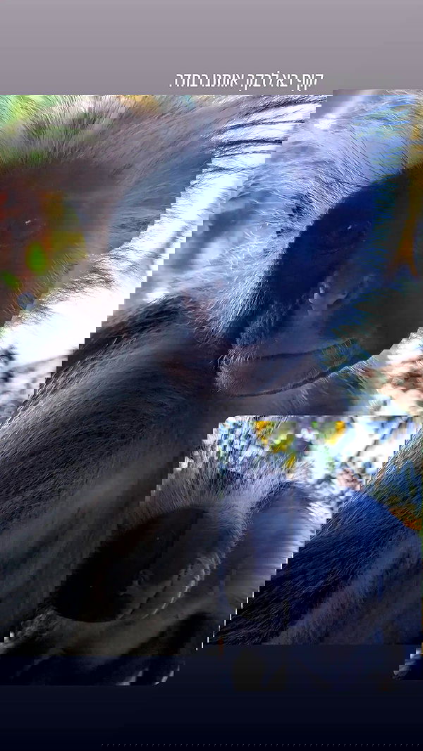 tinapavlov.sky tinapavlov.sky archive image