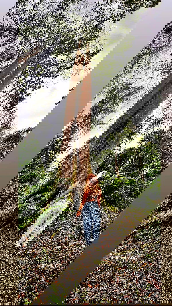 tinapavlov.sky tinapavlov.sky archive image