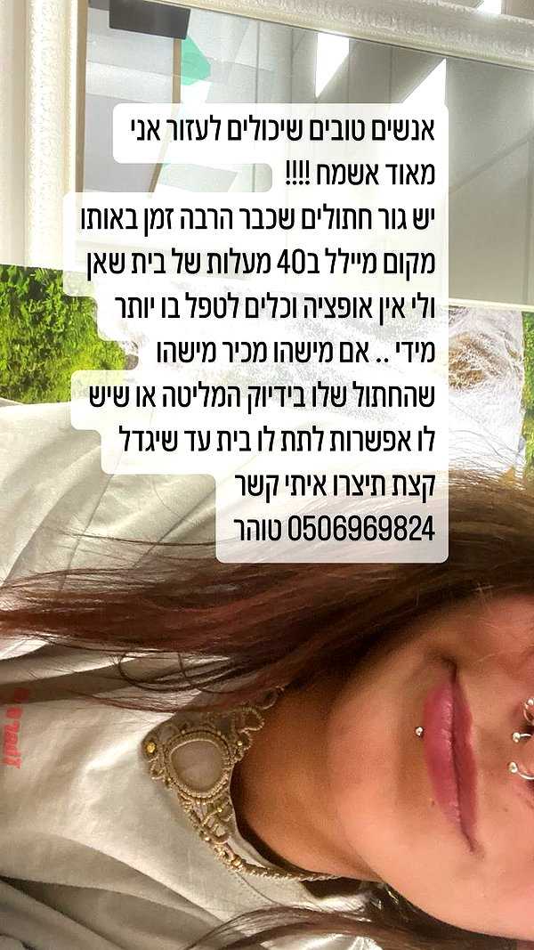 toharsandrusi instagram image archive image