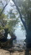toharsandrusi Altpins Profile Picture
