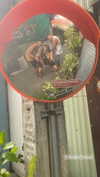 toharsandrusi Altpins Profile Picture