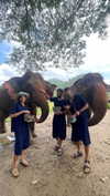 toharsandrusi Altpins Profile Picture