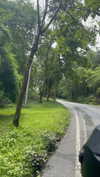 toharsandrusi Altpins Profile Picture