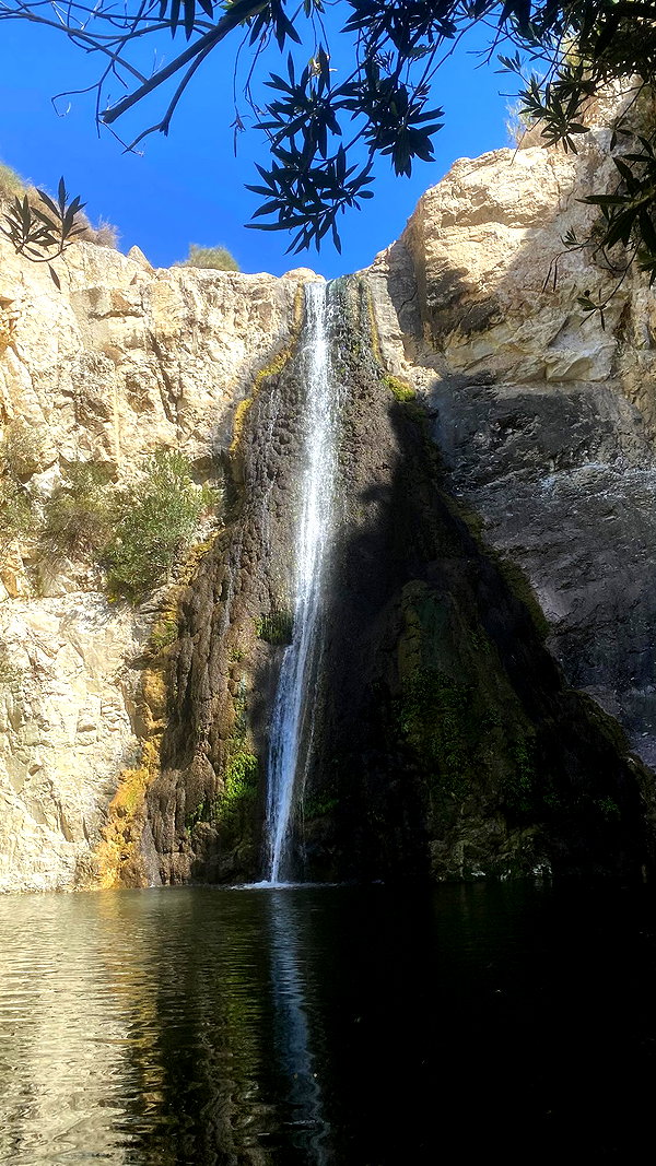 toharsandrusi instagram image archive image