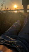 tooonytoony Altpins Profile Picture