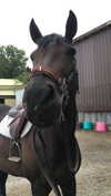 tooonytoony Altpins Profile Picture