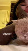 tooonytoony Altpins Profile Picture