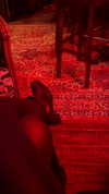 tooonytoony Altpins Profile Picture