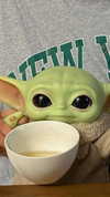 tooonytoony Altpins Profile Picture