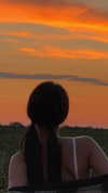 tooonytoony Altpins Profile Picture