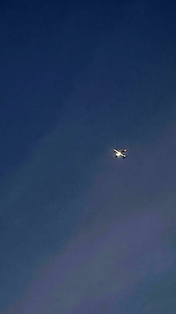tooonytoony instagram image archive image