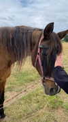 tooonytoony Altpins Profile Picture