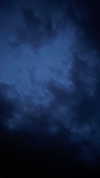 tooonytoony Altpins Profile Picture