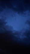 tooonytoony Altpins Profile Picture