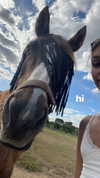 tooonytoony Altpins Profile Picture