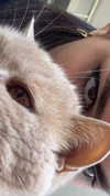 tooonytoony Altpins Profile Picture