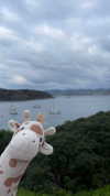 tooonytoony Altpins Profile Picture