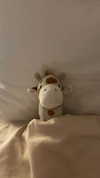 tooonytoony Altpins Profile Picture