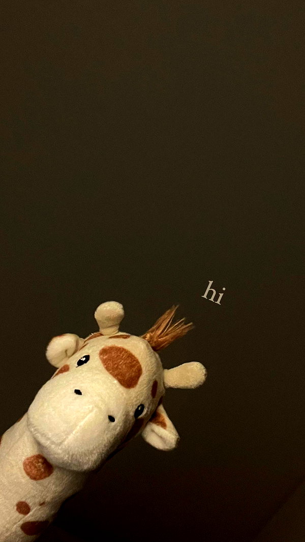 tooonytoony tooonytoony archive image
