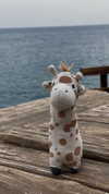 tooonytoony Altpins Profile Picture
