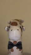 tooonytoony Altpins Profile Picture