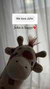 tooonytoony Altpins Profile Picture