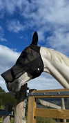 tooonytoony Altpins Profile Picture