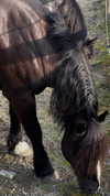 tooonytoony Altpins Profile Picture