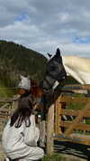 tooonytoony Altpins Profile Picture