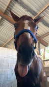 tooonytoony Altpins Profile Picture