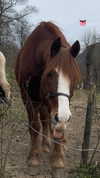 tooonytoony Altpins Profile Picture