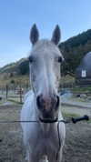 tooonytoony Altpins Profile Picture