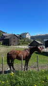 tooonytoony Altpins Profile Picture