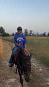 tooonytoony Altpins Profile Picture